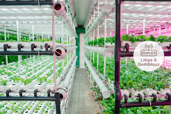 Indoor farming