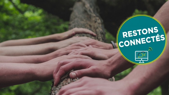 Le modèle coopératif comme source de résilience