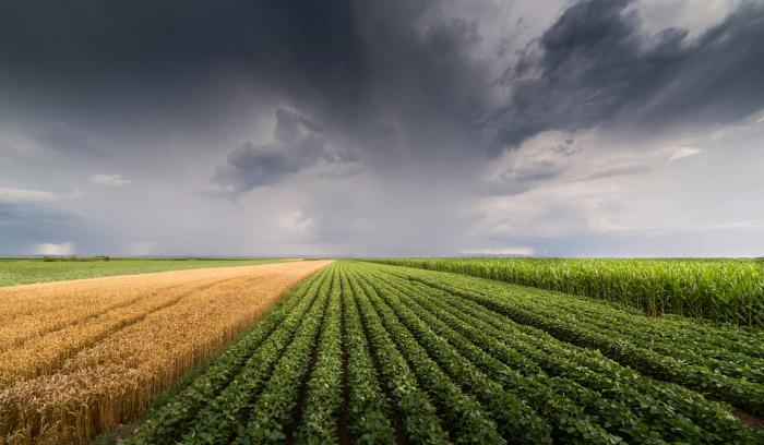 Agriculture et climat