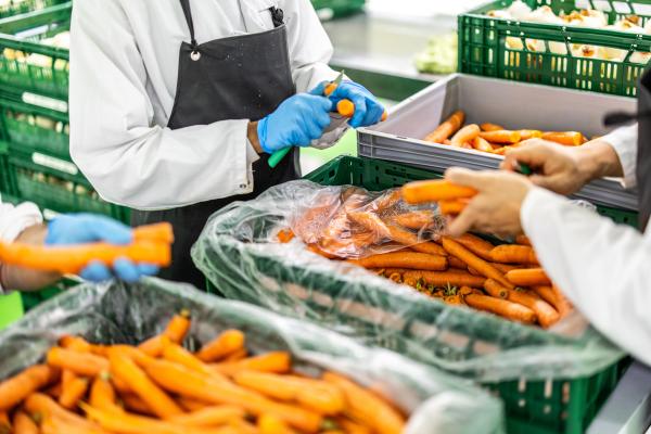 Système alimentaire