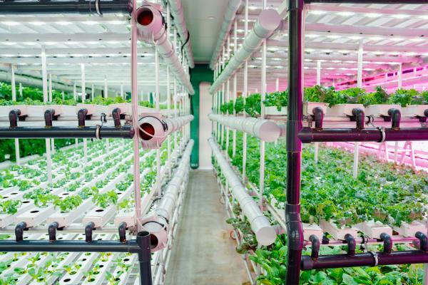 Indoor farming