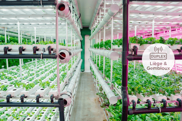 Indoor farming