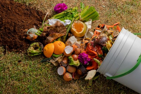 Déchets organiques